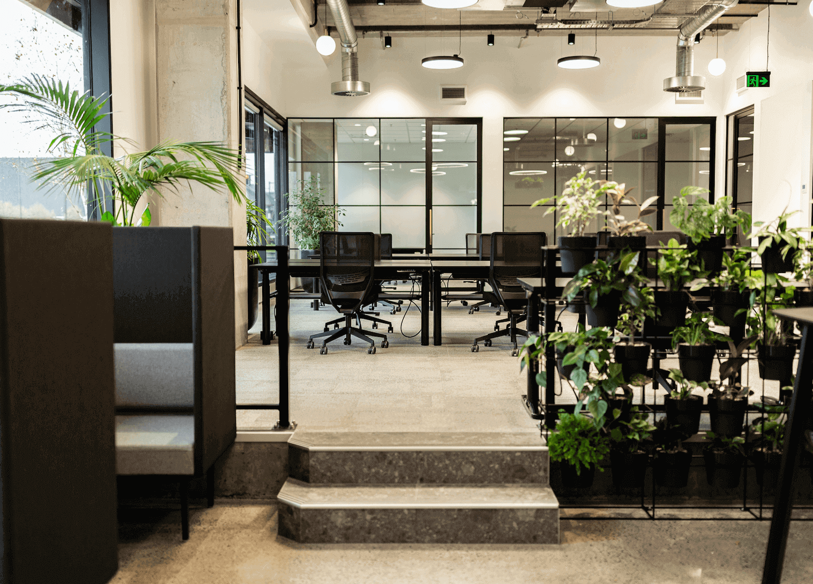 Optimyze Auckland office